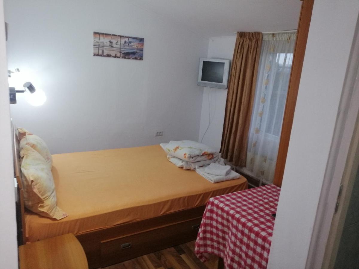 Vila Elly Piatra Neamţ エクステリア 写真