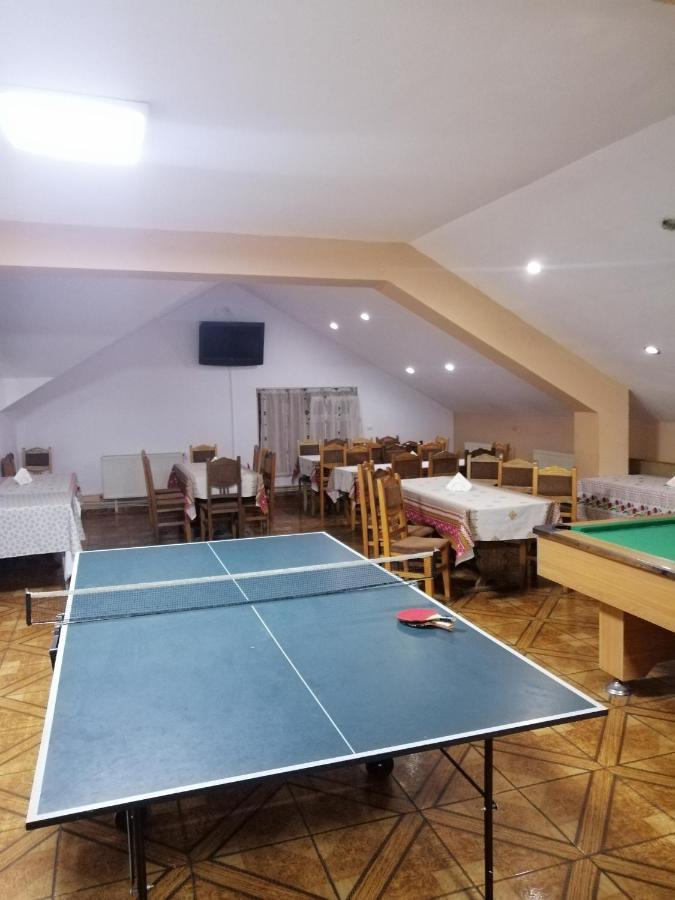 Vila Elly Piatra Neamţ エクステリア 写真