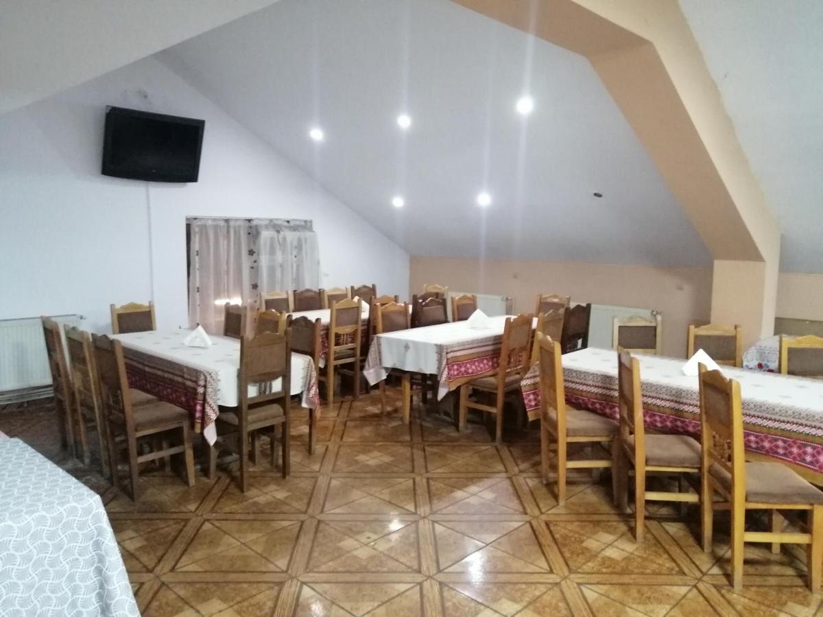 Vila Elly Piatra Neamţ エクステリア 写真