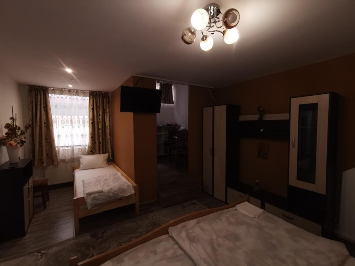 Vila Elly Piatra Neamţ エクステリア 写真