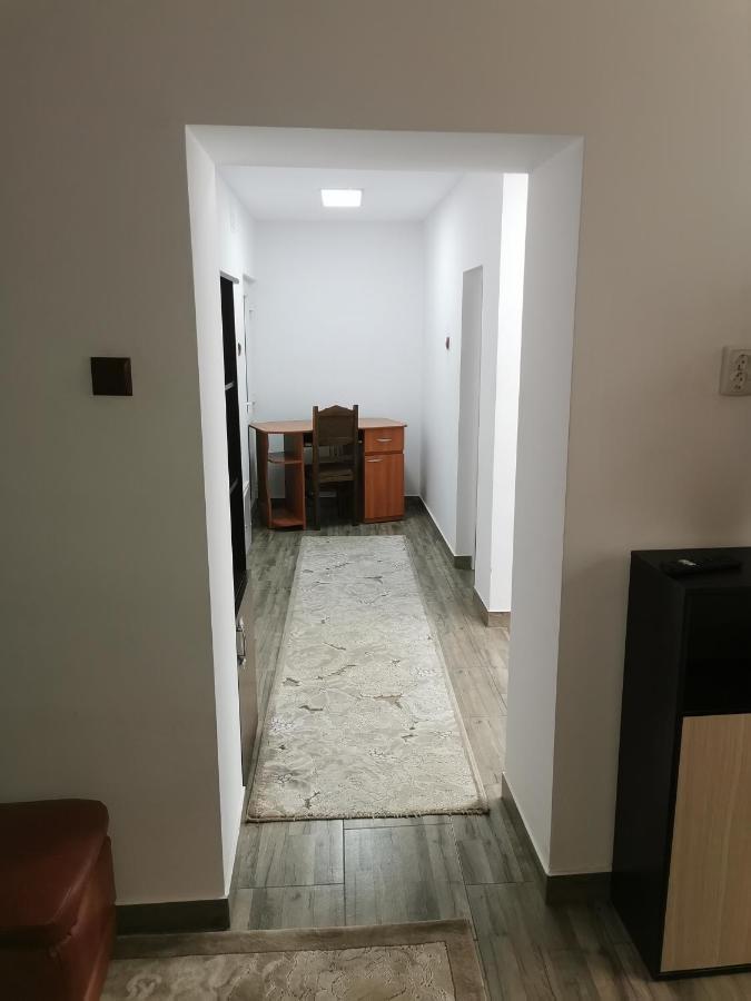 Vila Elly Piatra Neamţ エクステリア 写真