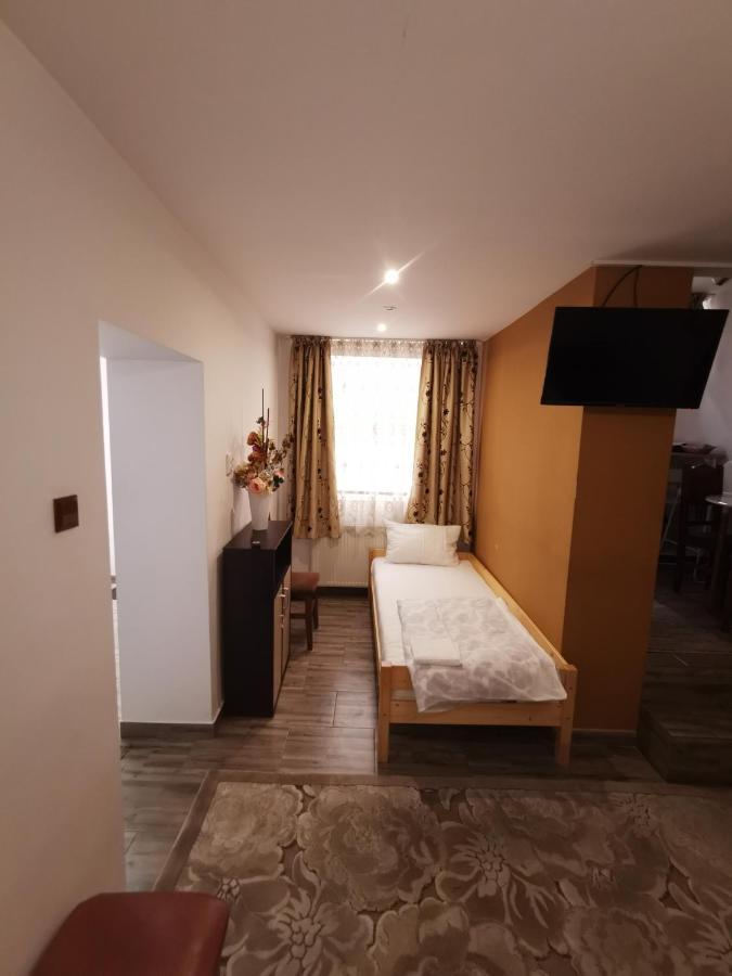Vila Elly Piatra Neamţ エクステリア 写真