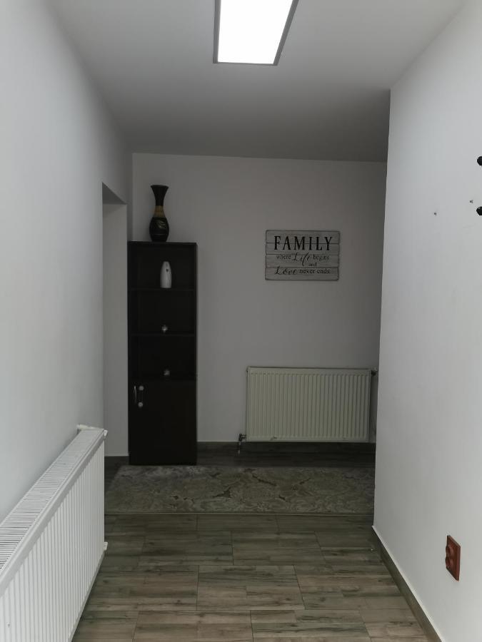 Vila Elly Piatra Neamţ エクステリア 写真