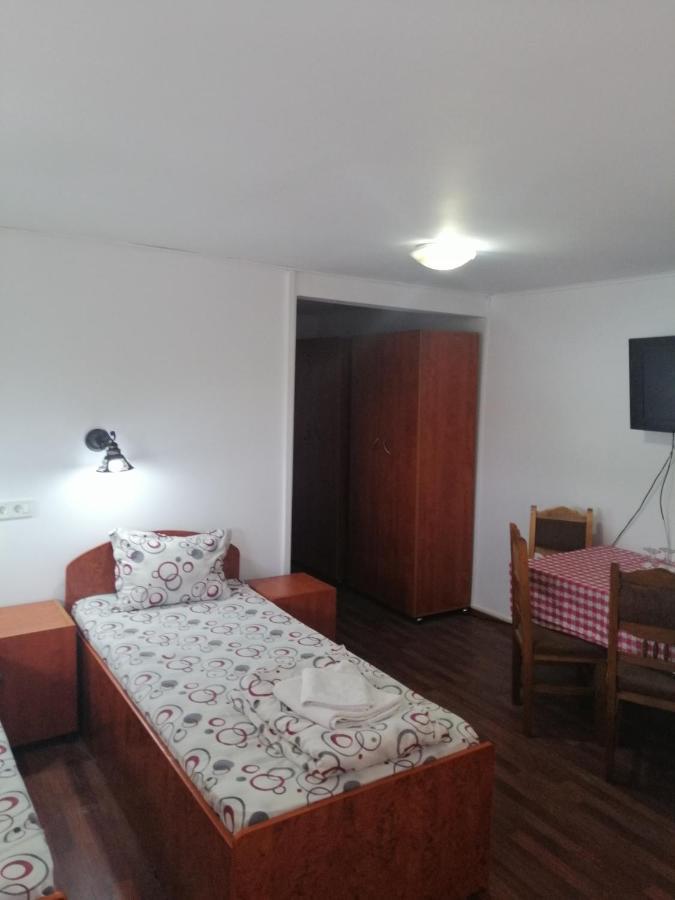 Vila Elly Piatra Neamţ エクステリア 写真