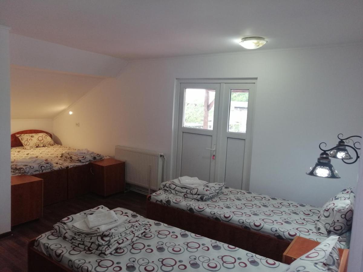 Vila Elly Piatra Neamţ エクステリア 写真