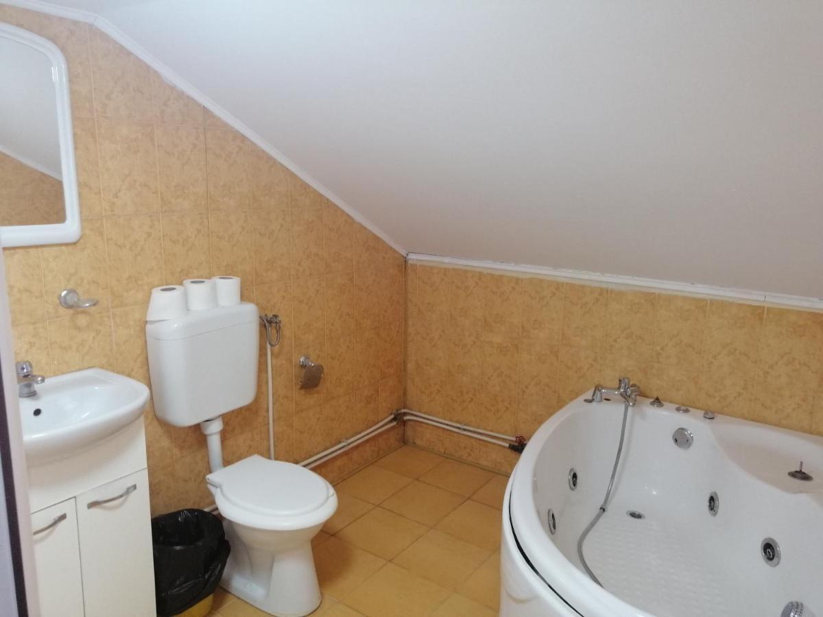 Vila Elly Piatra Neamţ エクステリア 写真